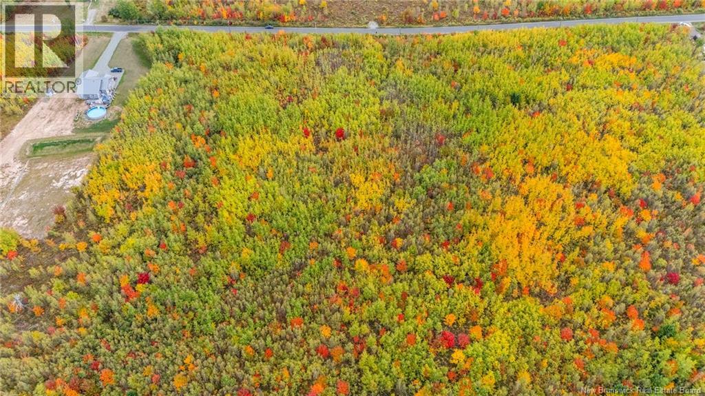21-3 Middlesex, Colpitts Settlement, New Brunswick E4J 1G7 - Photo 17 - NB127433