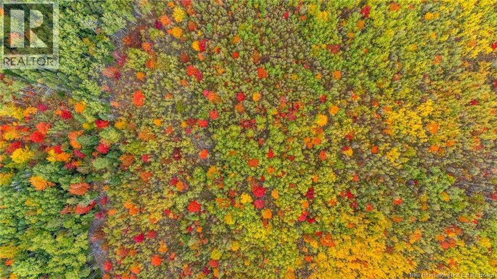 21-3 Middlesex, Colpitts Settlement, New Brunswick E4J 1G7 - Photo 18 - NB127433