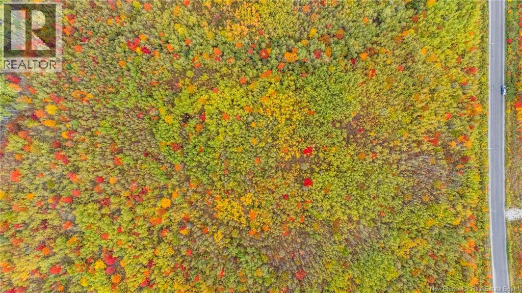 21-3 Middlesex, Colpitts Settlement, New Brunswick E4J 1G7 - Photo 19 - NB127433