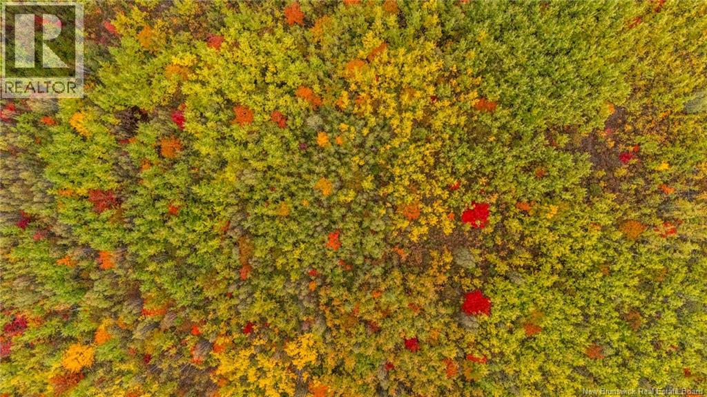 21-3 Middlesex, Colpitts Settlement, New Brunswick E4J 1G7 - Photo 20 - NB127433