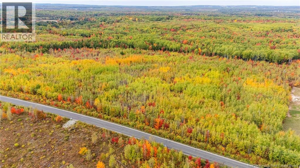 21-3 Middlesex, Colpitts Settlement, New Brunswick E4J 1G7 - Photo 24 - NB127433