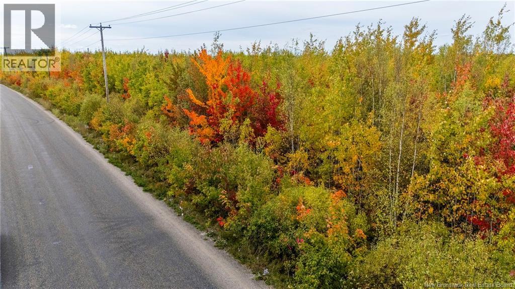 21-3 Middlesex, Colpitts Settlement, New Brunswick E4J 1G7 - Photo 29 - NB127433