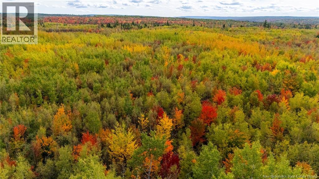 21-3 Middlesex, Colpitts Settlement, New Brunswick E4J 1G7 - Photo 36 - NB127433