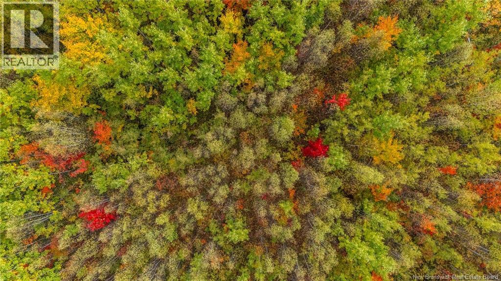 21-3 Middlesex, Colpitts Settlement, New Brunswick E4J 1G7 - Photo 38 - NB127433