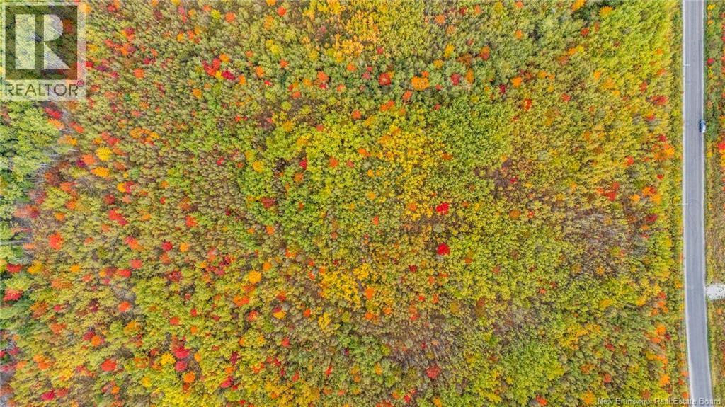 21-3 Middlesex, Colpitts Settlement, New Brunswick E4J 1G7 - Photo 40 - NB127433