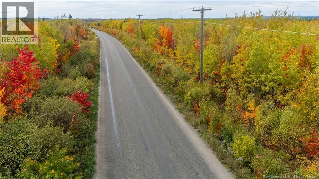 21-3 Middlesex, Colpitts Settlement, New Brunswick E4J 1G7 - Photo 48 - NB127433