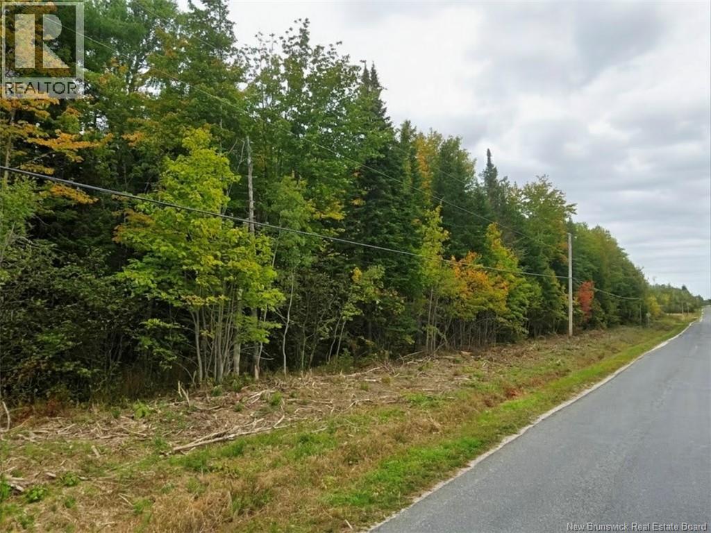 Lot North Black River Road, Black River Bridge, New Brunswick  E1N 5S4 - Photo 2 - NB127480