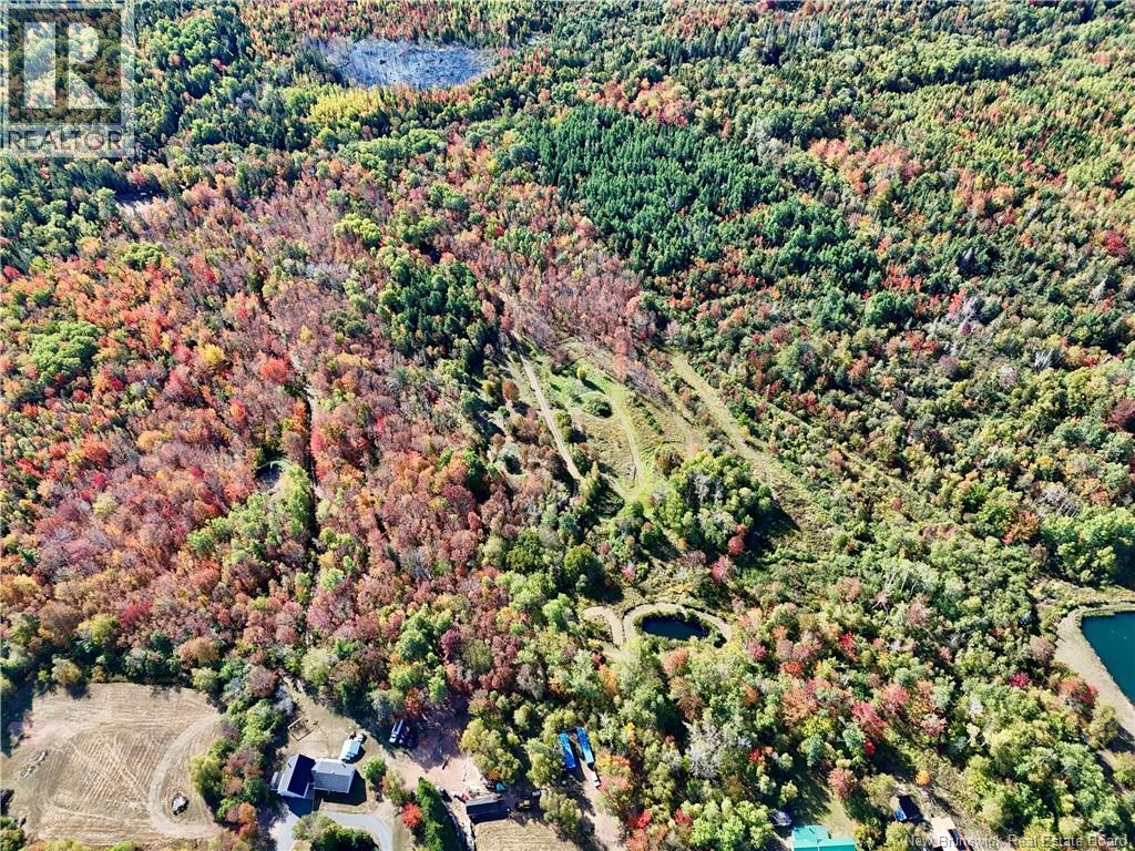 591 Dawson Settlement Road, Hillsborough, New Brunswick  E4H 2Z1 - Photo 45 - NB127226