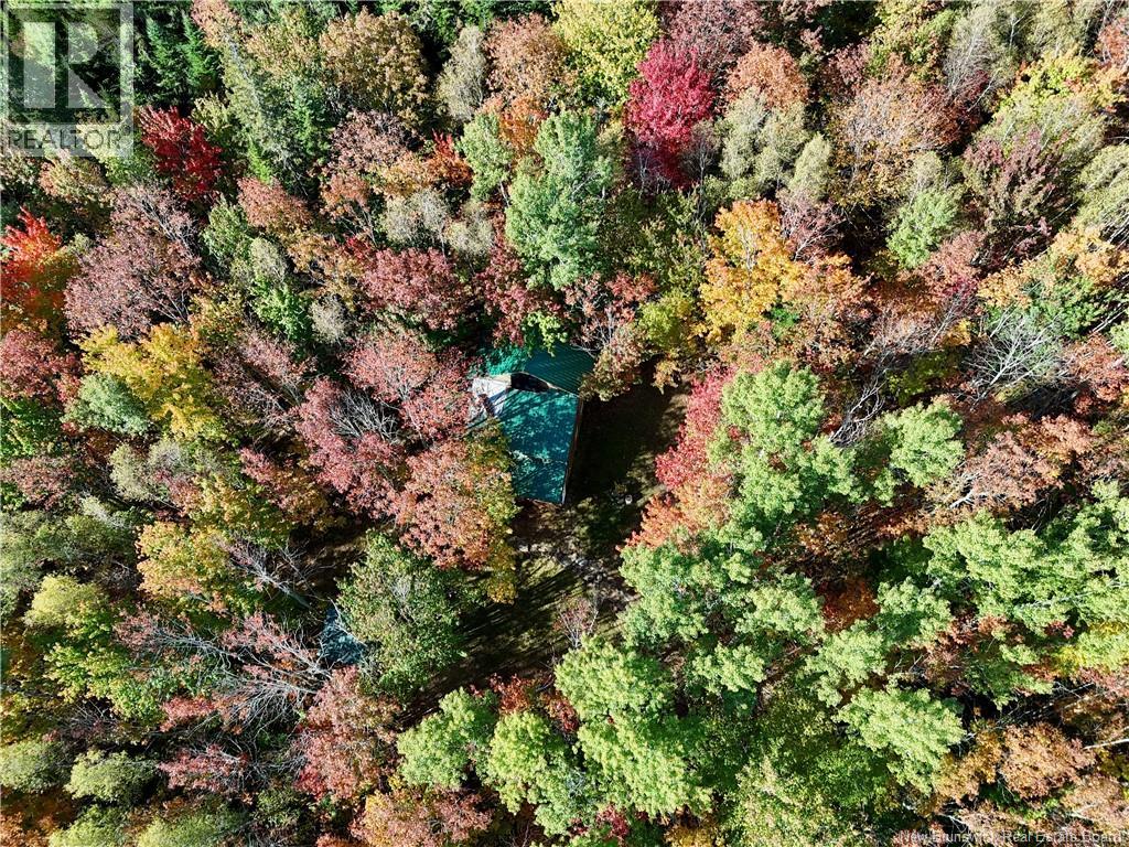 591 Dawson Settlement Road, Hillsborough, New Brunswick  E4H 2Z1 - Photo 46 - NB127226