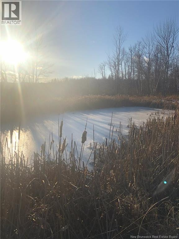 591 Dawson Settlement Road, Hillsborough, New Brunswick  E4H 2Z1 - Photo 49 - NB127226