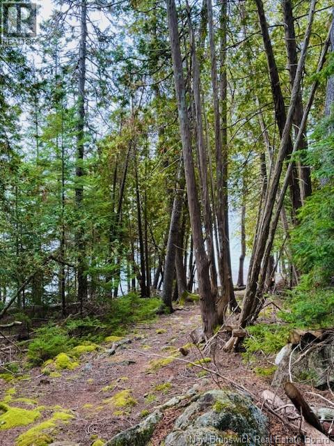 Hills Point Road Oak Bay, St. Stephen, New Brunswick  E3L 4J9 - Photo 6 - NB127576