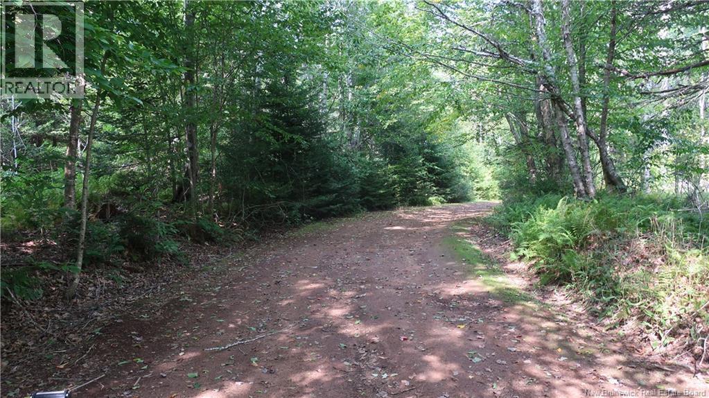 1371 Route 16 Route, Jolicure, New Brunswick E4L 2P9 - Photo 2 - NB127524