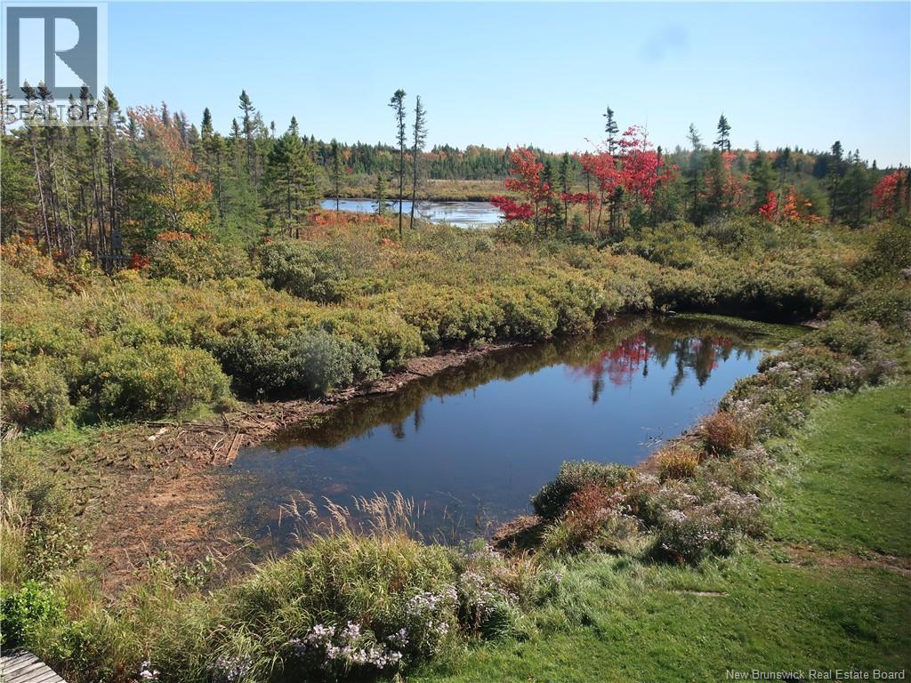 1371 Route 16 Route, Jolicure, New Brunswick E4L 2P9 - Photo 20 - NB127524