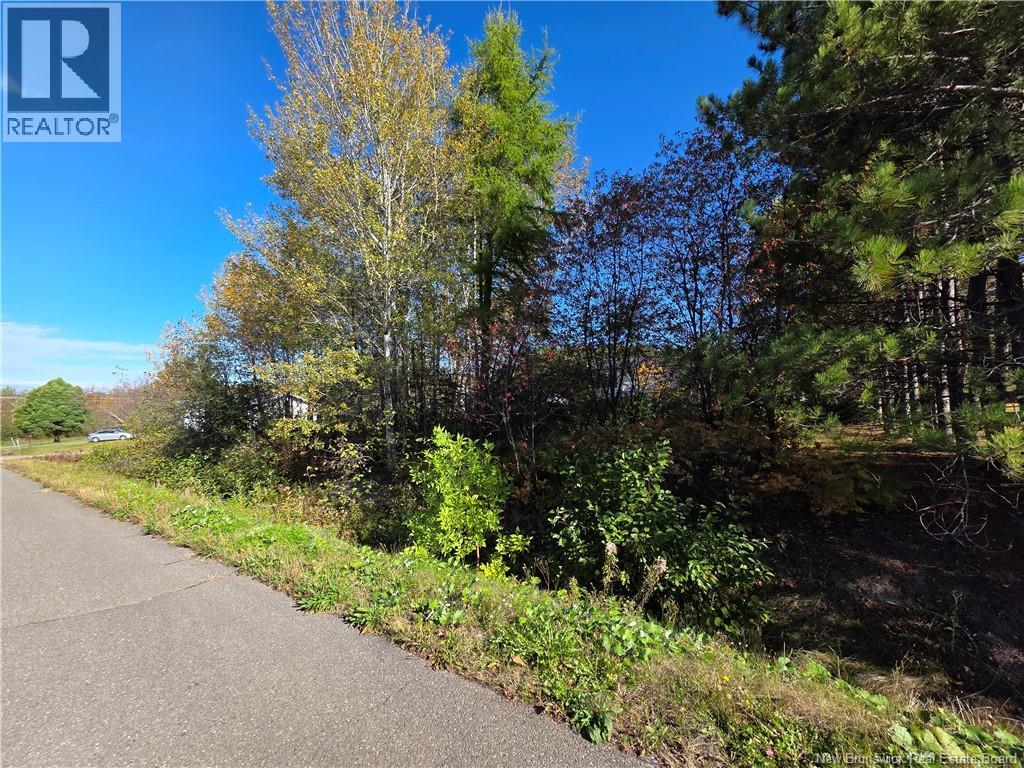 Lot Mazerolle Street, Sainte-Anne-De-Madawaska, New Brunswick  E7E 1L6 - Photo 4 - NB127645