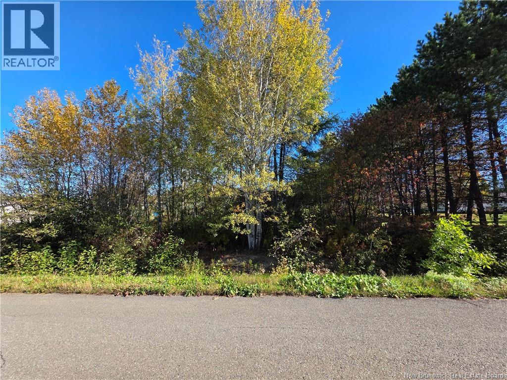 Lot Mazerolle Street, Sainte-Anne-De-Madawaska, New Brunswick  E7E 1L6 - Photo 5 - NB127645