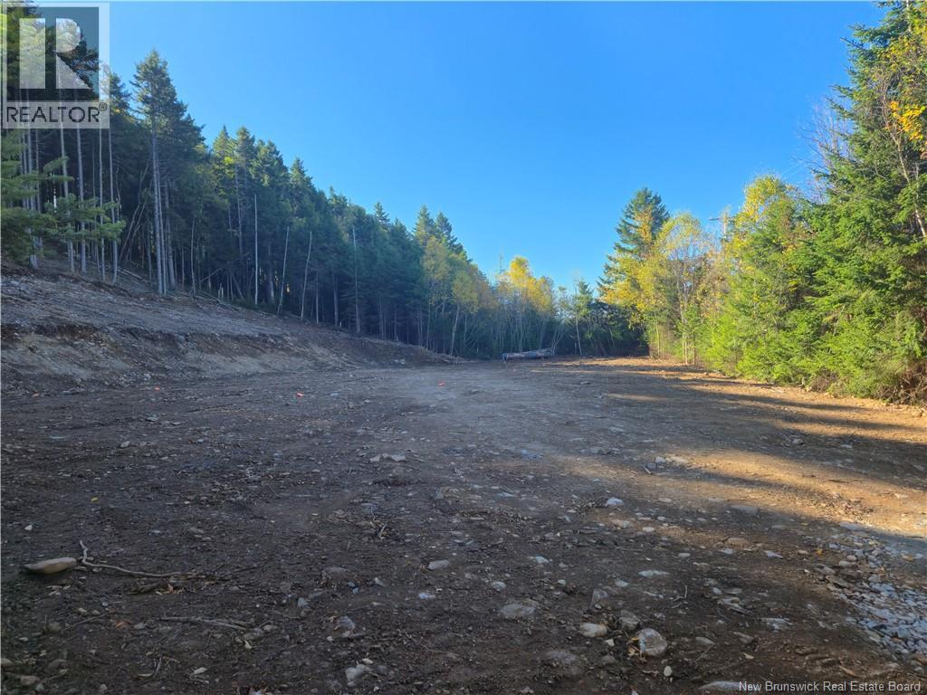 37 Forest Drive, Alma, New Brunswick E4H 1G4 - Photo 13 - NB127297