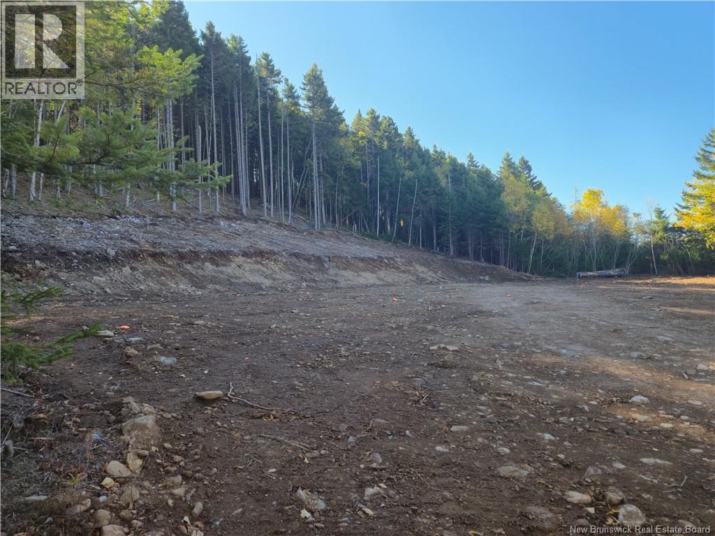 37 Forest Drive, Alma, New Brunswick E4H 1G4 - Photo 14 - NB127297