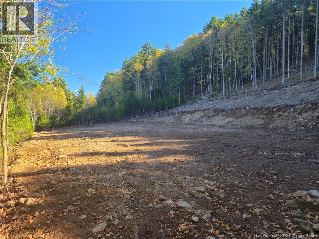 37 Forest Drive, Alma, New Brunswick E4H 1G4 - Photo 15 - NB127297