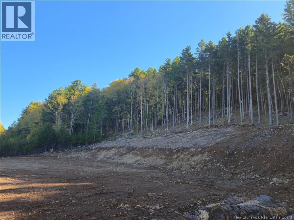 37 Forest Drive, Alma, New Brunswick E4H 1G4 - Photo 16 - NB127297