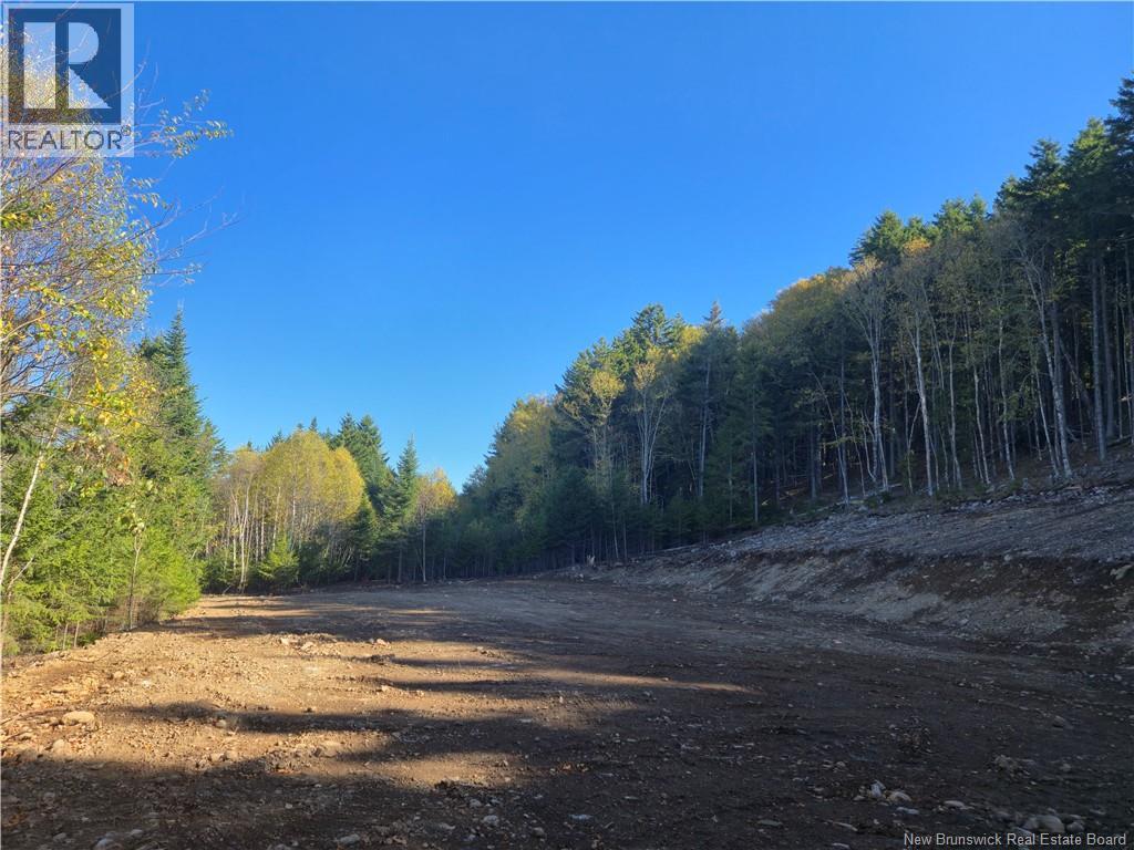 37 Forest Drive, Alma, New Brunswick E4H 1G4 - Photo 17 - NB127297