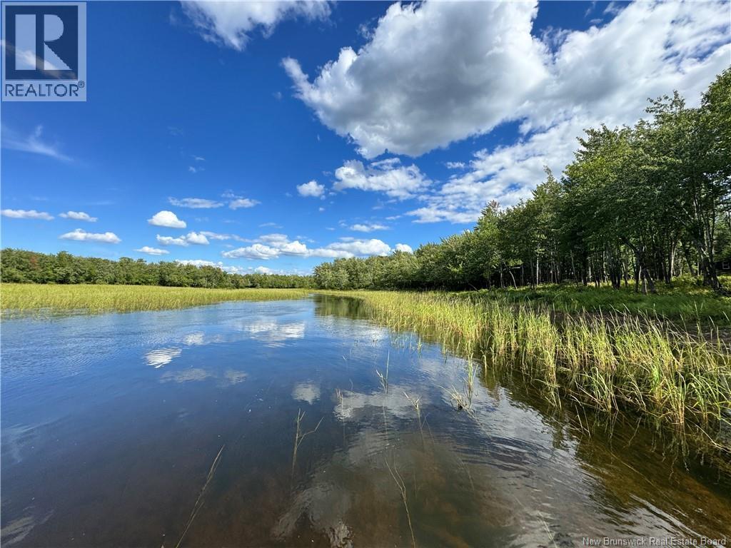 Lot Lower Coytown Road, Upper Gagetown, New Brunswick  E5M 1M6 - Photo 10 - NB127745