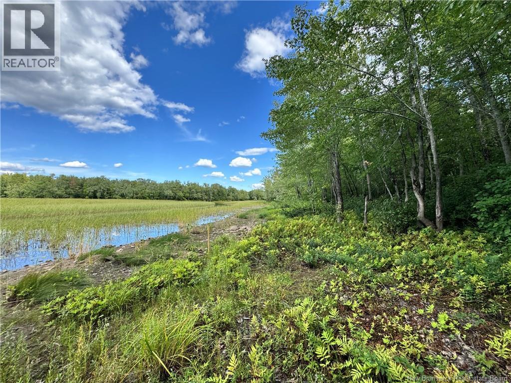 Lot Lower Coytown Road, Upper Gagetown, New Brunswick  E5M 1M6 - Photo 11 - NB127745