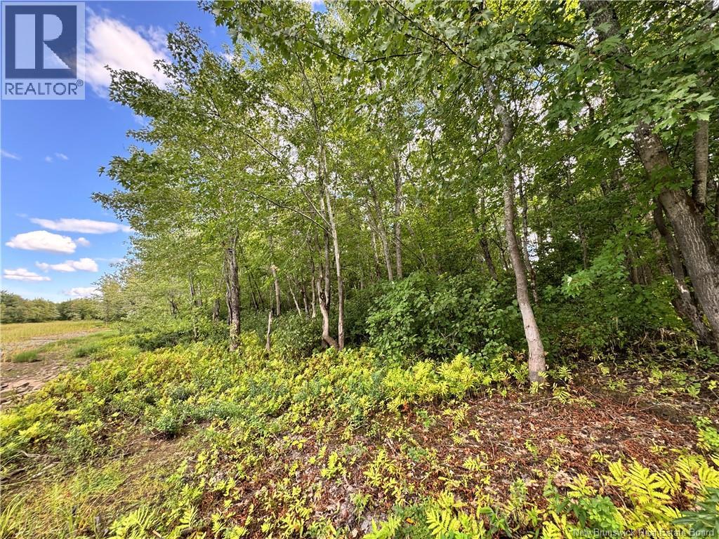Lot Lower Coytown Road, Upper Gagetown, New Brunswick  E5M 1M6 - Photo 12 - NB127745