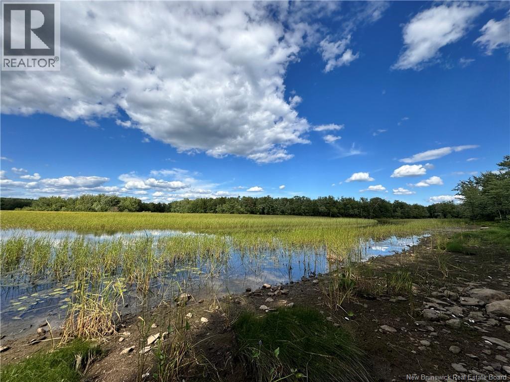 Lot Lower Coytown Road, Upper Gagetown, New Brunswick  E5M 1M6 - Photo 13 - NB127745