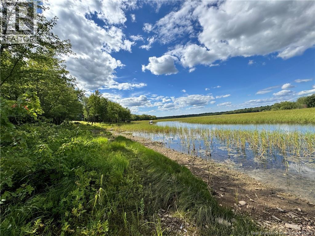 Lot Lower Coytown Road, Upper Gagetown, New Brunswick  E5M 1M6 - Photo 14 - NB127745
