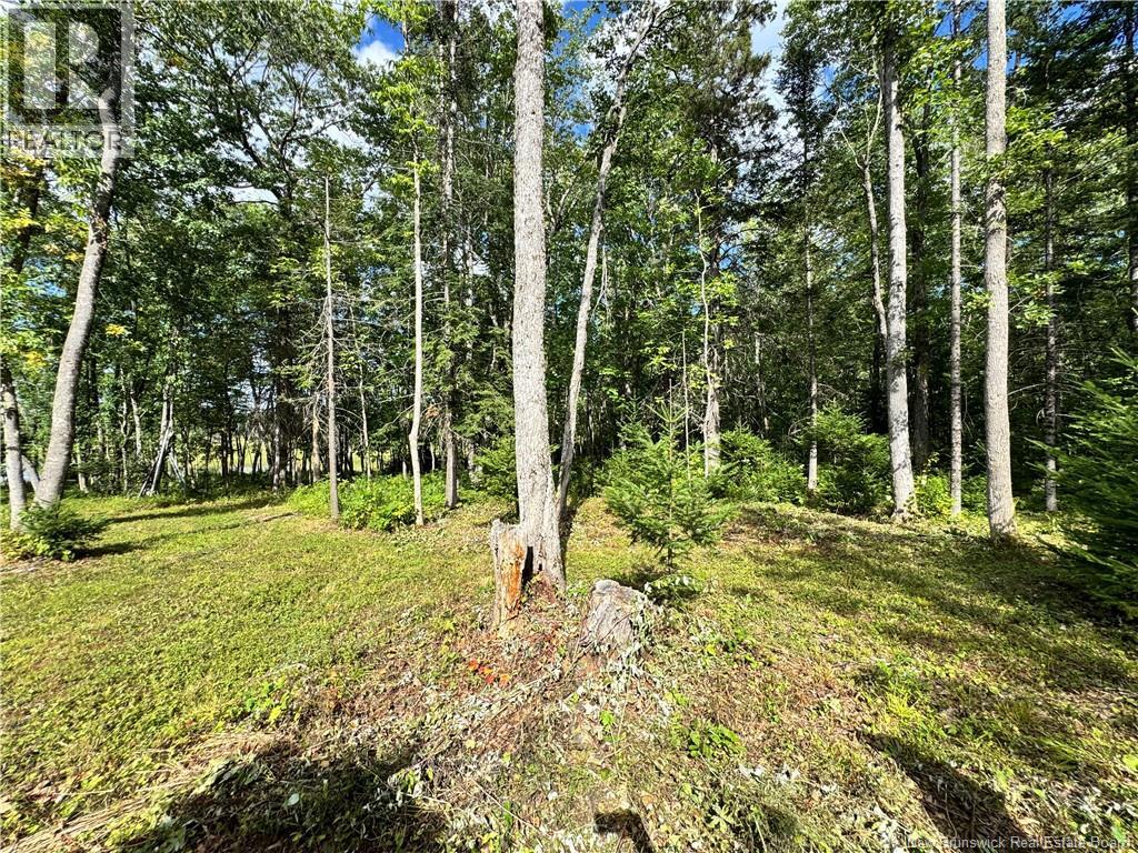 Lot Lower Coytown Road, Upper Gagetown, New Brunswick  E5M 1M6 - Photo 17 - NB127745