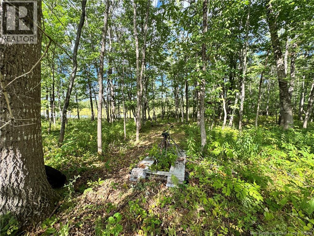 Lot Lower Coytown Road, Upper Gagetown, New Brunswick  E5M 1M6 - Photo 18 - NB127745