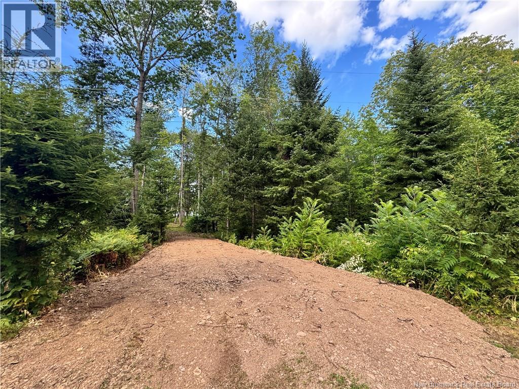 Lot Lower Coytown Road, Upper Gagetown, New Brunswick  E5M 1M6 - Photo 20 - NB127745