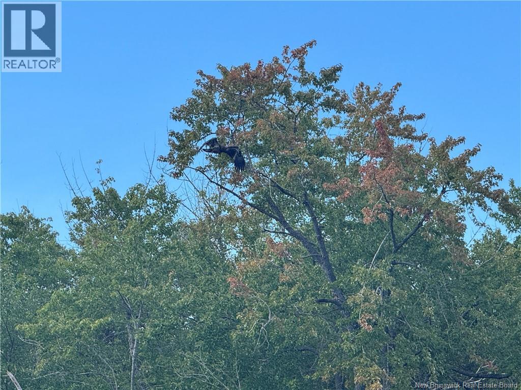 Lot Lower Coytown Road, Upper Gagetown, New Brunswick  E5M 1M6 - Photo 22 - NB127745