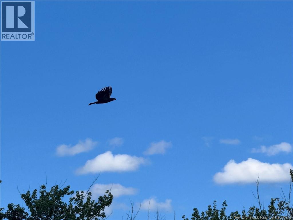 Lot Lower Coytown Road, Upper Gagetown, New Brunswick  E5M 1M6 - Photo 23 - NB127745