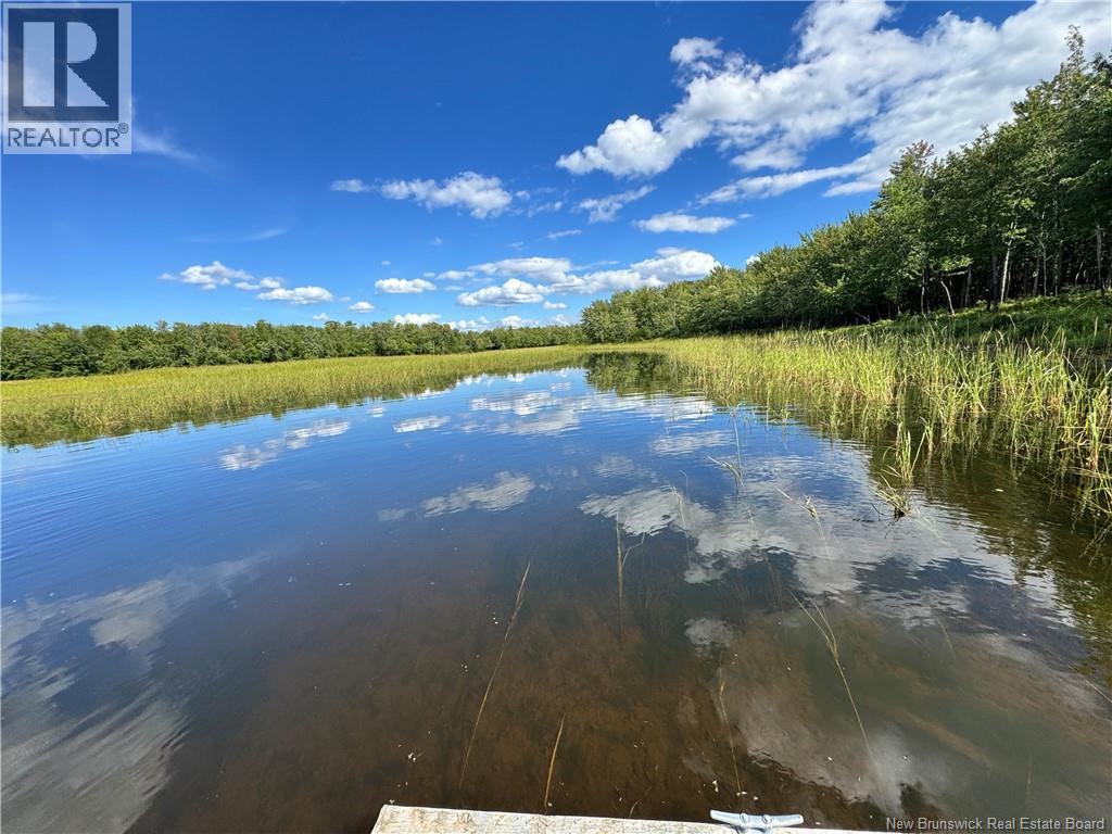 Lot Lower Coytown Road, Upper Gagetown, New Brunswick  E5M 1M6 - Photo 4 - NB127745