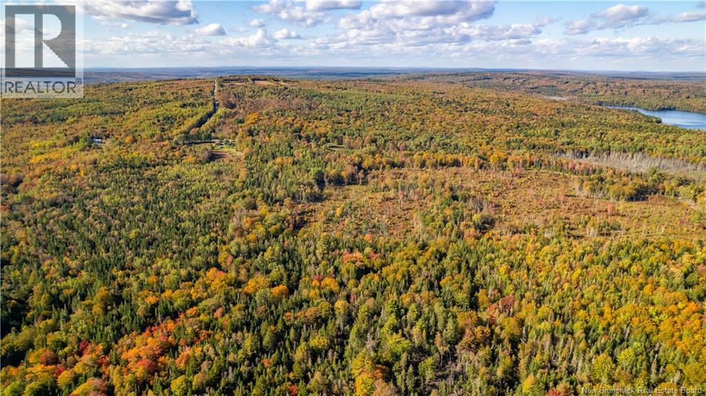 Lot Clatter Road, Rollingdam, New Brunswick  E5A 2Y9 - Photo 10 - NB127781