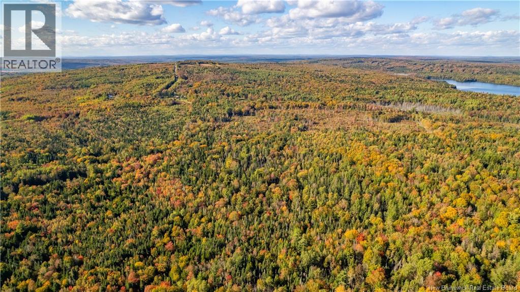 Lot Clatter Road, Rollingdam, New Brunswick  E5A 2Y9 - Photo 11 - NB127781