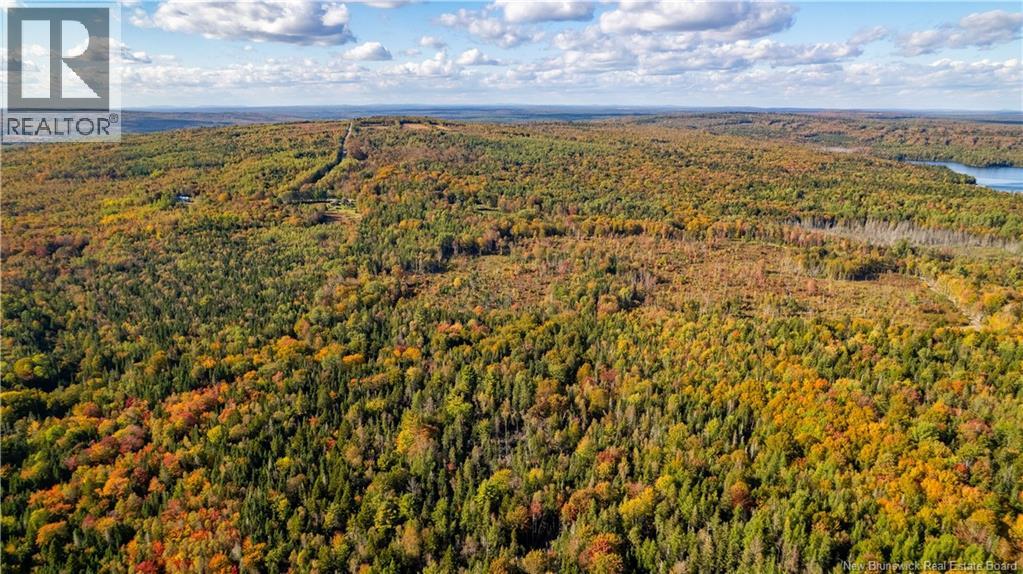 Lot Clatter Road, Rollingdam, New Brunswick  E5A 2Y9 - Photo 12 - NB127781