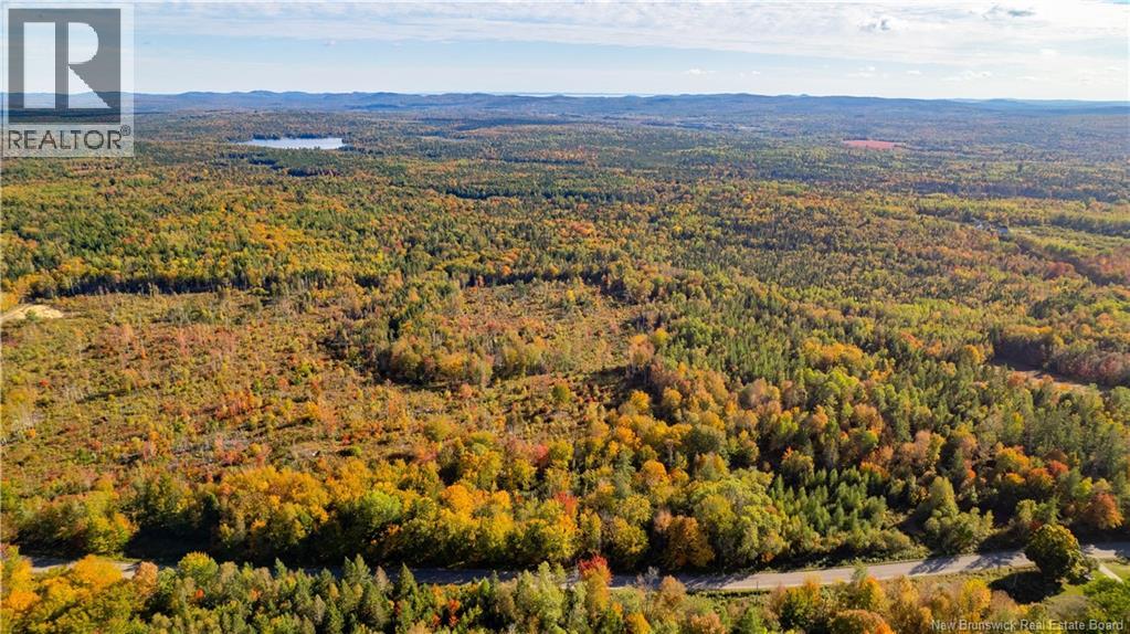 Lot Clatter Road, Rollingdam, New Brunswick  E5A 2Y9 - Photo 13 - NB127781