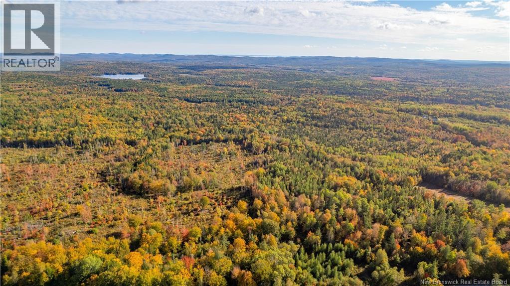 Lot Clatter Road, Rollingdam, New Brunswick  E5A 2Y9 - Photo 14 - NB127781