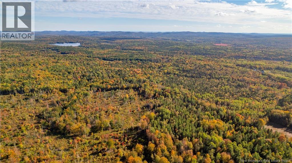 Lot Clatter Road, Rollingdam, New Brunswick  E5A 2Y9 - Photo 15 - NB127781