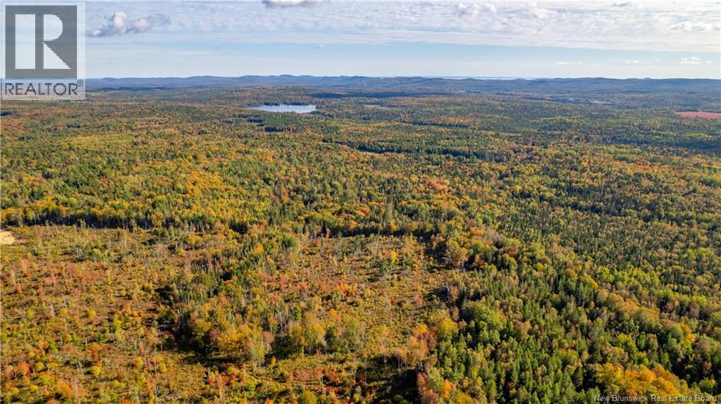 Lot Clatter Road, Rollingdam, New Brunswick  E5A 2Y9 - Photo 16 - NB127781