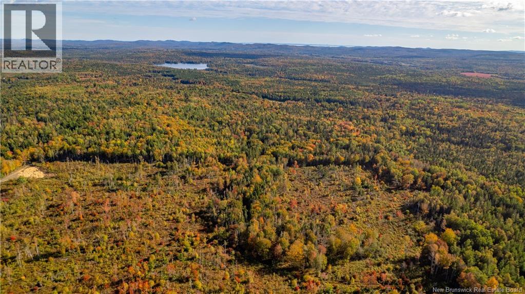 Lot Clatter Road, Rollingdam, New Brunswick  E5A 2Y9 - Photo 17 - NB127781