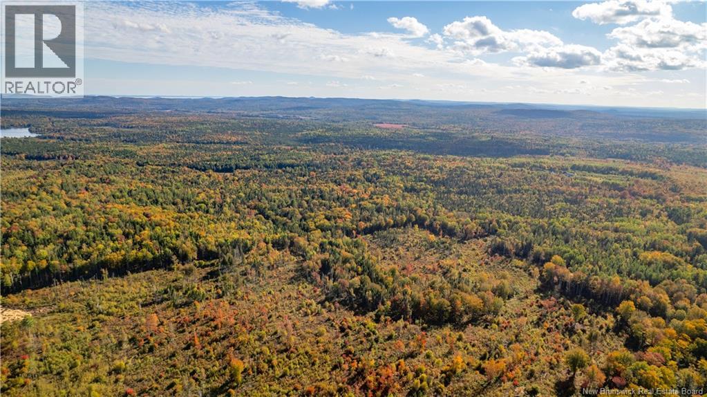 Lot Clatter Road, Rollingdam, New Brunswick  E5A 2Y9 - Photo 18 - NB127781