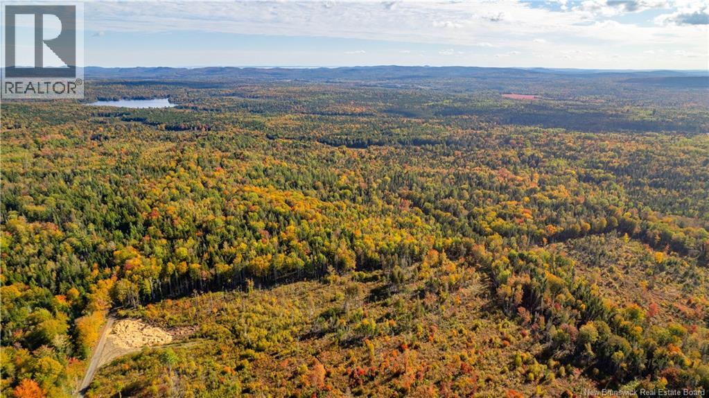 Lot Clatter Road, Rollingdam, New Brunswick  E5A 2Y9 - Photo 19 - NB127781