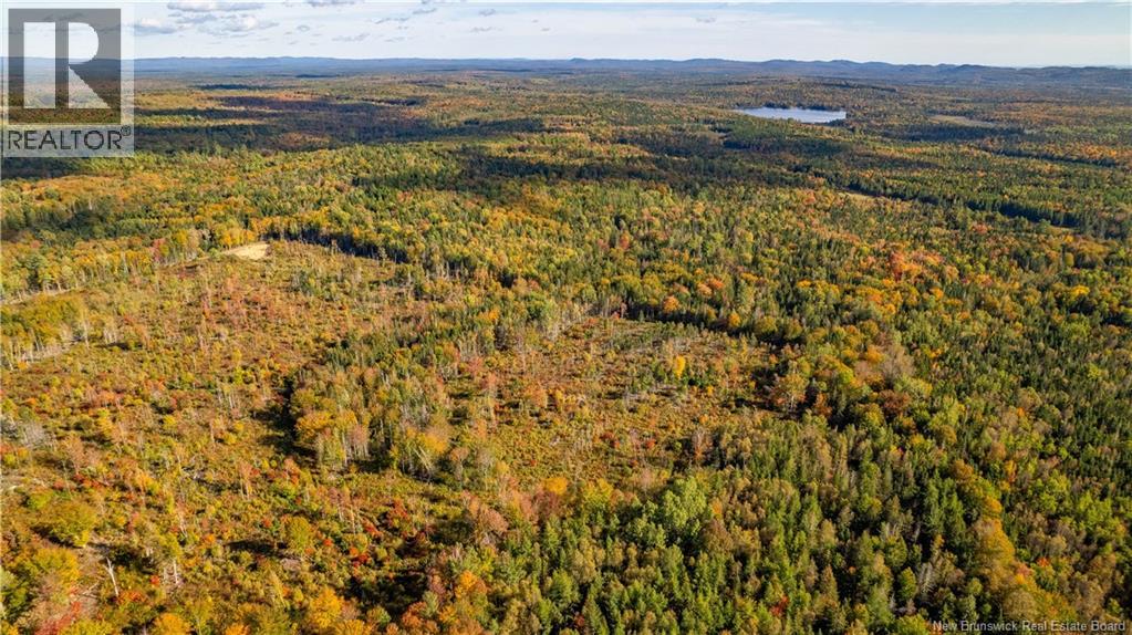 Lot Clatter Road, Rollingdam, New Brunswick  E5A 2Y9 - Photo 2 - NB127781