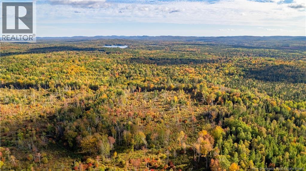 Lot Clatter Road, Rollingdam, New Brunswick  E5A 2Y9 - Photo 20 - NB127781