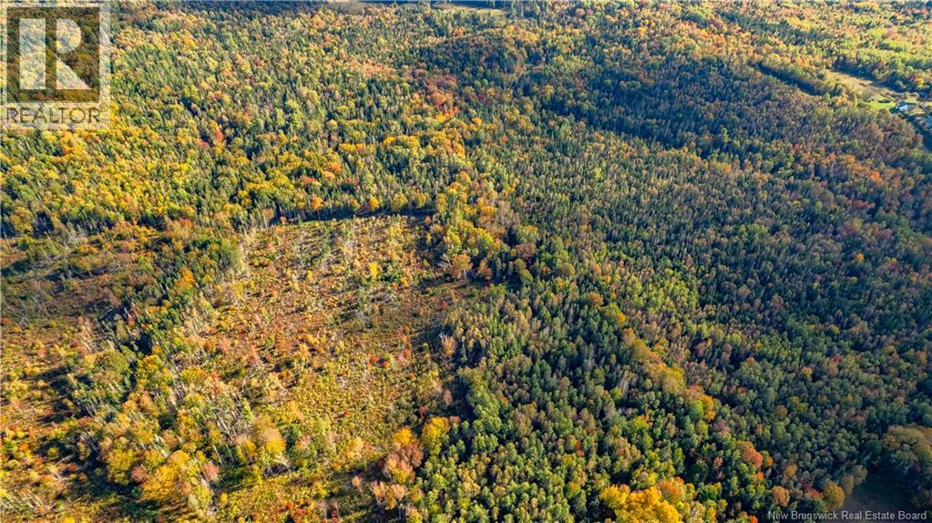 Lot Clatter Road, Rollingdam, New Brunswick  E5A 2Y9 - Photo 21 - NB127781