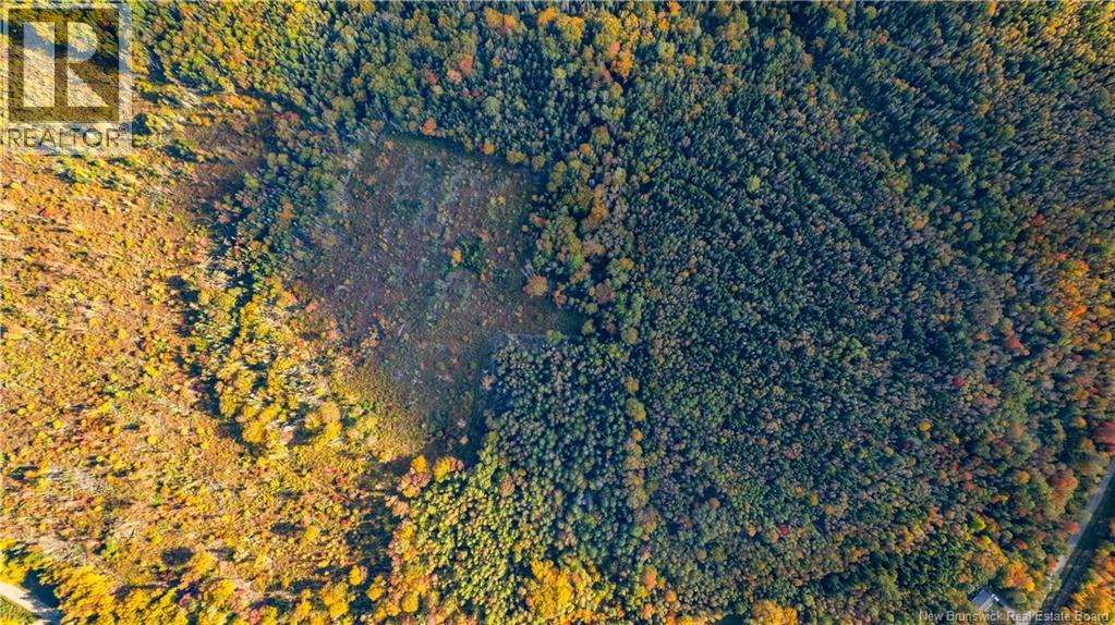 Lot Clatter Road, Rollingdam, New Brunswick  E5A 2Y9 - Photo 22 - NB127781