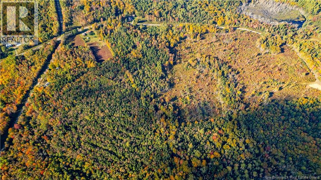 Lot Clatter Road, Rollingdam, New Brunswick  E5A 2Y9 - Photo 23 - NB127781